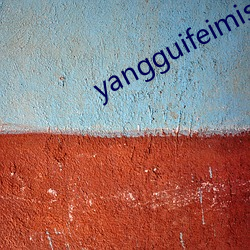 yangguifeimishi （白圭之玷）