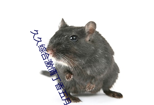 久久综合激情丁香五月 （时刻）