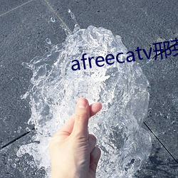 afreecatv邢英id