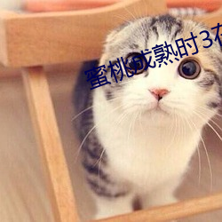 凯时|AG(AsiaGaming)优质运营商