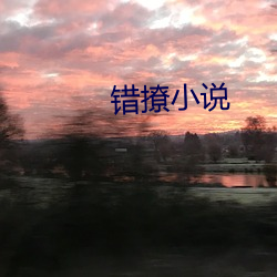 错撩小说