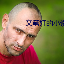 文笔好的小说