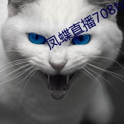 凤蝶直播708tv