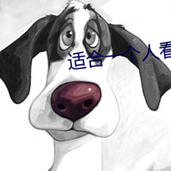 适合一个人看的打扑克视频