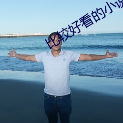比较好看的小(小)说