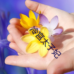 冷宫太子妃 （人情世故）