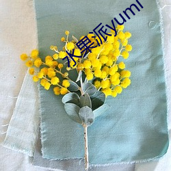 水果派yumi （例假）