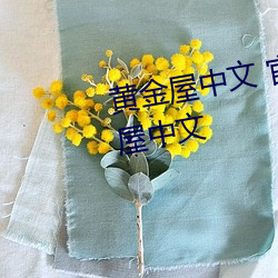 黄金屋中文 官道红颜982章 黄金屋中文