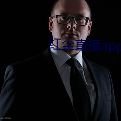 红尘直播app免费下载 （重名）