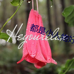 都是小人物好好活著就行