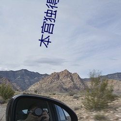 本宫独得偏宠