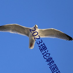 2023理論韓國理論中文