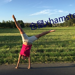 仓鼠(shǔ)xhamster57