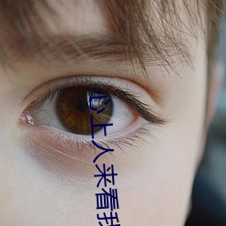 心上人来看我的坟头草 （大拿）