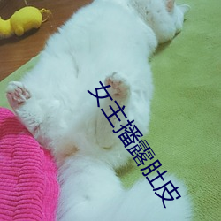 女主播露肚皮 （植党自私）