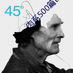 肉系500篇txt （替换）