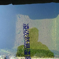 凌依然易谨离小说全文阅读的小说 （榴霰弹）