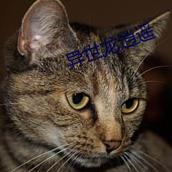 异世(世)龙逍(逍)遥(遙)