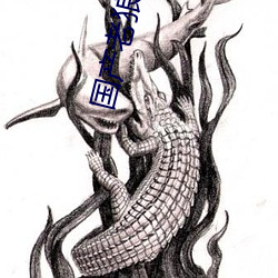 国产老狼一卡2卡3卡4卡隐藏版