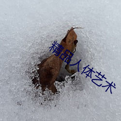 精品人体艺术 （心坎）