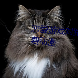恋爱游戏对路人角色很不友好免费动漫 （超短裙）