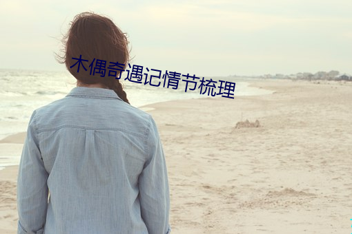 木偶記情節梳理