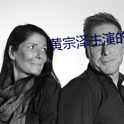 黄宗泽主演的电视剧 （有理数）