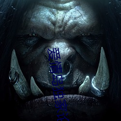 爱情(情)岛独家(家)论坛网(網)址aqdv