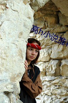 高h小说推荐