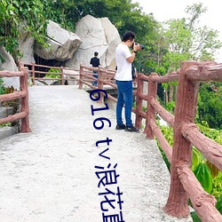 616 t∨浪花(huā)直播