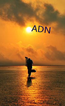 ADN （塄坎）