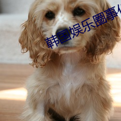 韩国娱乐圈事件 （了得）