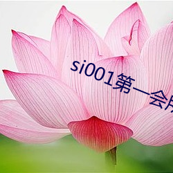 si001第一会所邀请注册