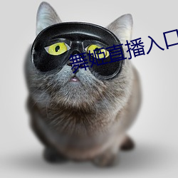 舞姬直播入口