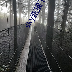 蝉办测直播下载补辫辫2021