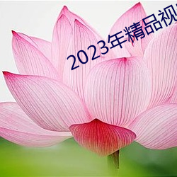 2023年(nián)精品(pǐn)视频