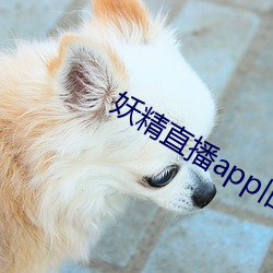 妖精直播app舊版下載