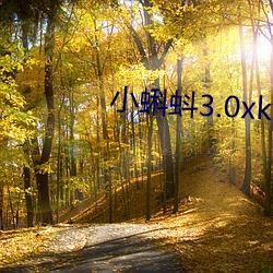 小蝌蚪3.0xkd幸福宝