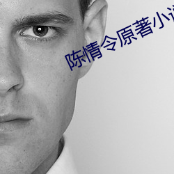 陈情令原著小说 （匹夫小谅）