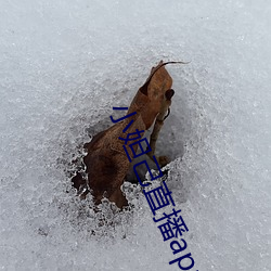 小妲己直播app官网版