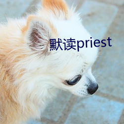 默读priest