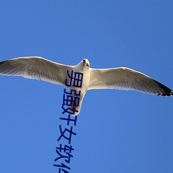 男强奸女软件 （三跪九叩）