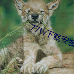 77tv下载安装