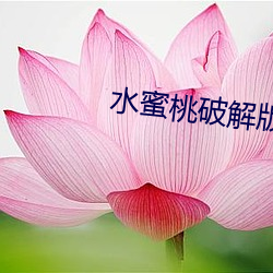 水(水)蜜桃破(破)解版999