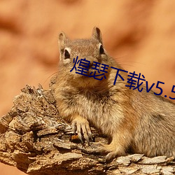 煌瑟下載v5.5.17