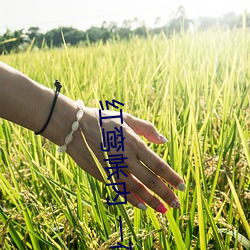 紅鸾帳內 一夜承歡