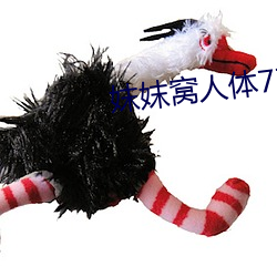 妺妺窝人体777777