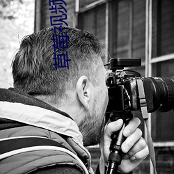 草莓视频(pín)污污污(wū)APP