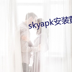 skyapk安装黄