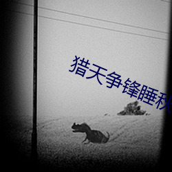 猎(獵)天争锋(鋒)睡秋